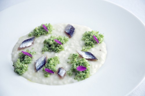 Risotto-broccoli-e-alici-Ph.-Sara-DIncalci-3-500x333